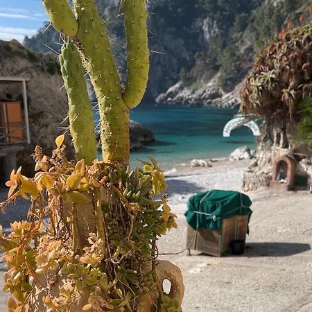 Capri Magic House On The Beach Екстер'єр фото